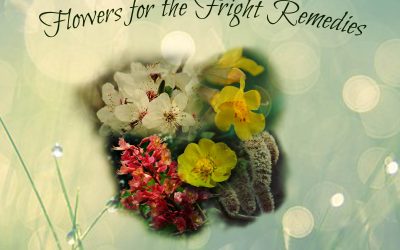 Remedies for Fright