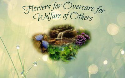 Remedies for Overcare for Welfare of Others