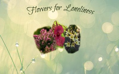 Remedies for Loneliness